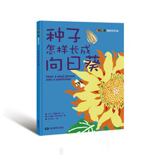 種子向日葵