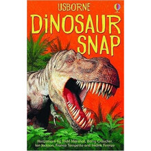usborne