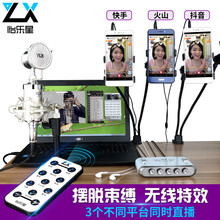 怡樂星（YILEXING）  支撐式 麥克風 銀色
