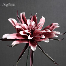 田園風(fēng)花卉，營(yíng)造浪漫唯美的家