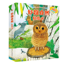 妙趣