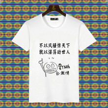 鼎度（DINGDU） 短袖 男士T恤 風(fēng)騷驚天下 