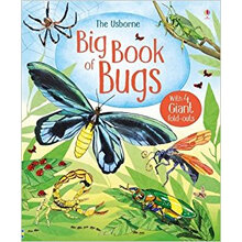 big book of