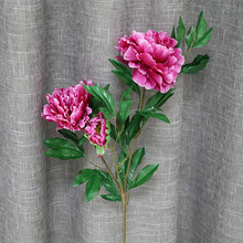 牡丹絹花