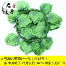 ����ֵ������ƿ�����쾫������
