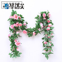 精致花瓶，裝點你的家居藝術(shù)感