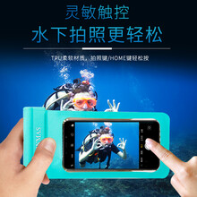 蘋果plus殼竹