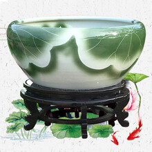 金魚缸荷花