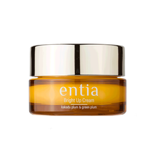 恩沙（ENTIA）乳液/面霜細致毛孔，提亮膚色