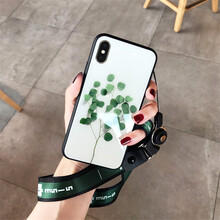 小樹苗卡通