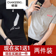 暢登（CHANGDENG） 短袖 男士T恤 羽毛黑+刺繡灰 