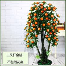 ����,����,����,����,����,���а�,�Ƽ�