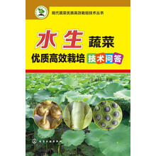 蔬菜栽培技術(shù)