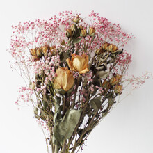 十二,十二,排名,浮香花瓶,浮香花瓶,排行榜,推薦