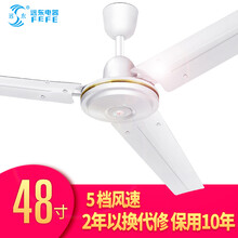 遠(yuǎn)東電器電風(fēng)扇