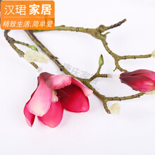 你家的藝術(shù)，一盞花瓶點綴生活