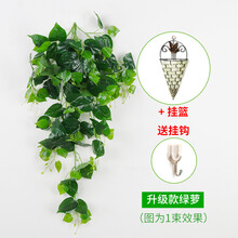 北歐風(fēng)玻璃花瓶，讓生活不再單調(diào)