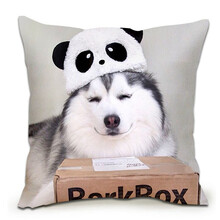 哈士奇抱枕宠物 搞怪狗头表情包单身狗二哈抱枕神烦狗男生靠垫 小哈17