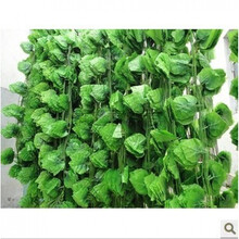 創(chuàng)意玻璃花瓶，打造精致田園風(fēng)