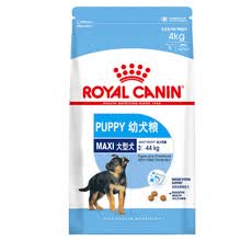 royal,����,royal,�Ƽ�,�ʼ�,����,����,�ʼ�,Ȯ�������а�
