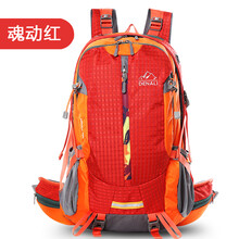 斐斯戈