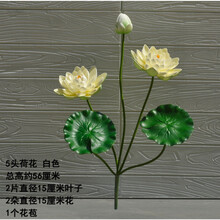 落地花瓶，讓你的生活不再單調