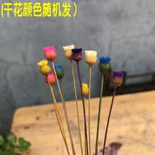 �Ŵﻨ��,�Ŵﻨ��,��ô��