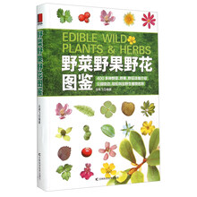 野菜圖鑒