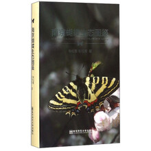 蝴蝶圖鑒