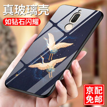 古尚派（Gu Shang Pai） 華為麥芒6/華為 RNE-AL00 手機殼/保護套