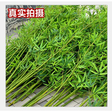 高顏值花瓶，營(yíng)造浪漫家居生活