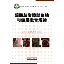 碳酸鹽巖