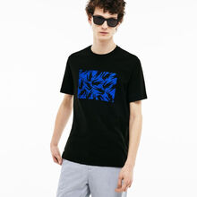 LACOSTE 短袖 男士T恤 MUV 
