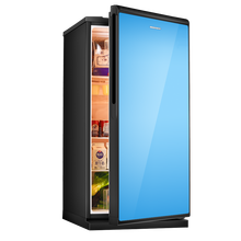 辰佳 BCD-170  冰箱