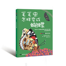 毛毛蟲