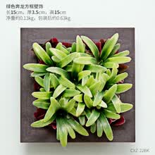 �������ϴ�Ǯ�ޣ����㰮�ϼ�