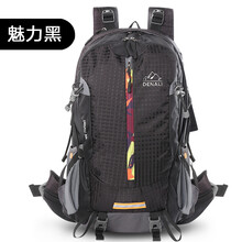 斐斯戈雙肩包