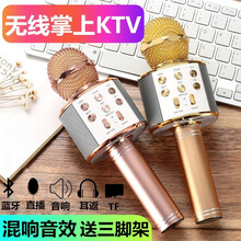 初豆   麥克風(fēng) 【玫瑰金】-K歌麥克風(fēng)+8G內(nèi)存卡
