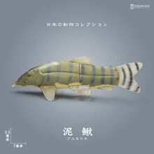 精致環(huán)保，木質(zhì)擺件讓生活更溫馨