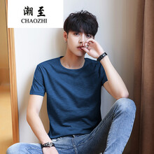 潮至（CHAOZHI） 短袖 男士T恤 蘭 XL，L，M，XXXL，XXL
