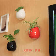精美花瓶，裝點(diǎn)你的生活藝術(shù)感