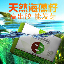 孕婦淡斑面膜