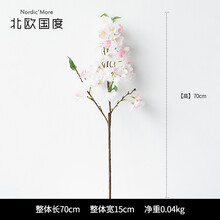 精致花瓶，讓你的家四季如春