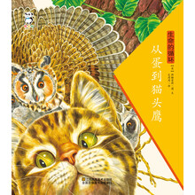貓頭鷹