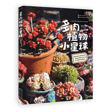 多肉植物小