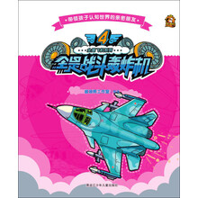 飛機戰(zhàn)斗