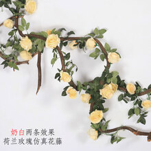 創(chuàng)意仿真花，打造田園風(fēng)的家