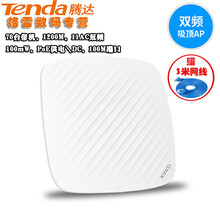 tenda11