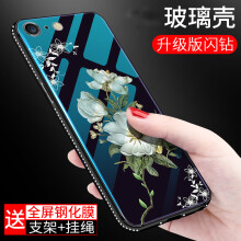 茉莉花果