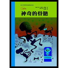 骨骼